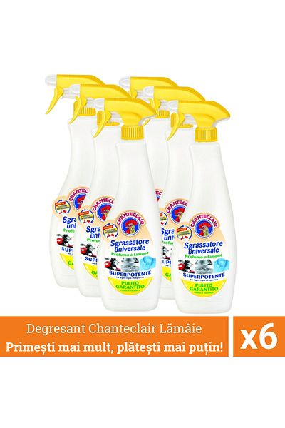chante clair Pachet Promo 6 X Chanteclair Detergent Degresant Universal Lamaie, Spray, 600 ml