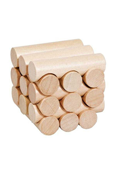 Fridolin Joc Logic Iq Din Lemn - Model 13