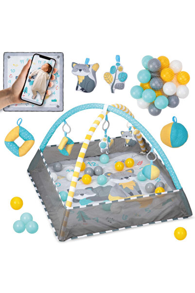 Momi Centrum aktivit, Lammis