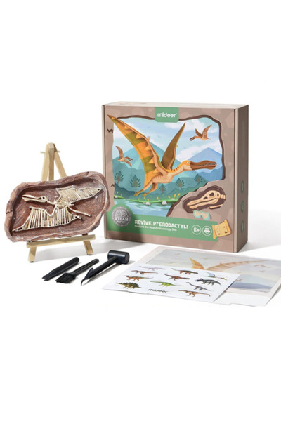 Mideer Setul Micului Arheolog, Descoperirea Dinozaurului Pterodactyl
