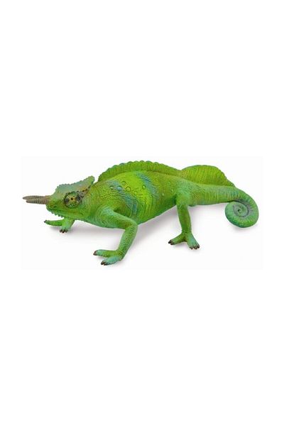 Collecta Camcorder's Sailing Chameleon