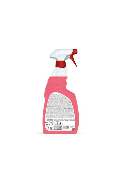 SANITEC Metal Surface Cleaning Solution With Sprayer, 750 Ml, S6 Inox,