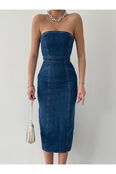 JANES Ізер Страплез Ельбізе