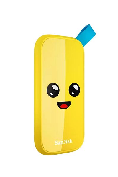 SanDisk فورتنايت 1 تيرابايت 800 ميجابايت/ثانية إصدار بيلي SSD محمول SDSSDE30-1T00-G25F