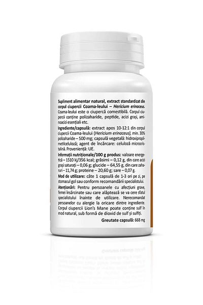 ZENYTH Lions Mane, 60 Capsules, Lion's Mane Mushroom Extract, Supports The Nervous System, Brain Activity