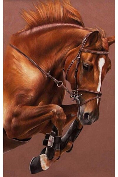 Pastelya Sayılarla Boyama Seti Çerçeveli Kasnaklı Efsane At 60x75 Cm