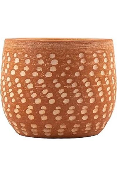 Mu Art Ahşap Plant Design Home Decoration White Dot Patterned Terracotta Clay Pot Flower Pot Living Room Flower Pot - 12