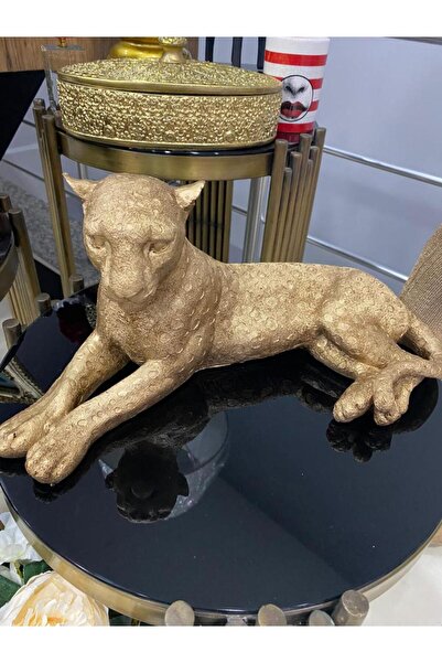 Mirsa Global Yatan Leopar Biblo