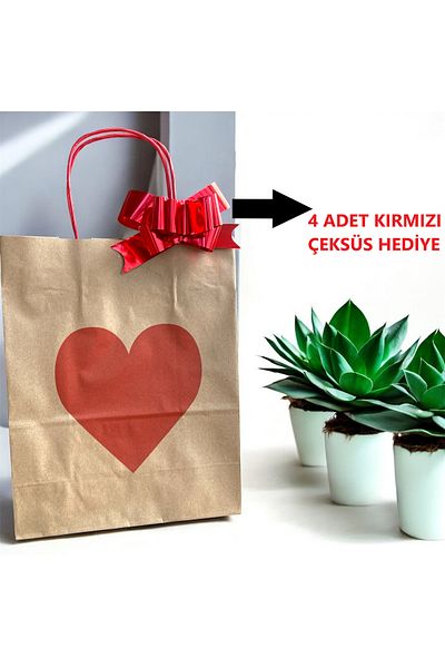 HUR-AY PACK Τσάντα Kraft με στάμπα Red Heart 2 Μεγάλες 2 Μικρές Vee 2 Τεμάχια