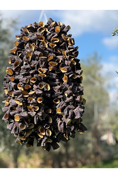 Sivas Yörem Asırlık Lezzetler Dolmalık Kurutulmuş Patlıcan 45-50 Ad Yeni Sezon