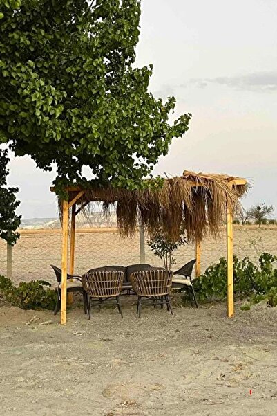 Loolpi Home Ahşap Pergole Çardak Bahçe Tentesi Kamelya Metal Montaj Ayakları ...