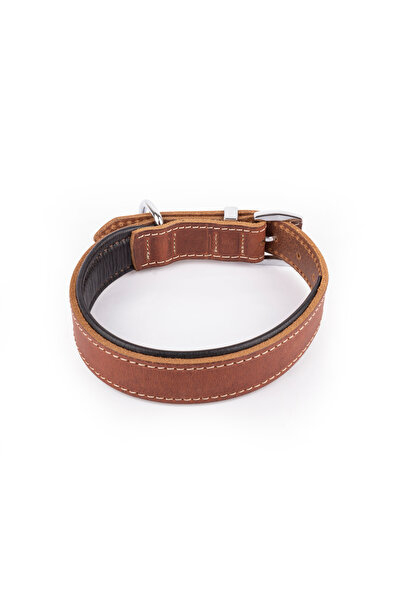 Canini Collar Hakiki Yağlı Deri Köpek Tasma, Yumuşak Deriden İç Kısım, Ultra Dayanıklı ve Konforlu Deri Tasma