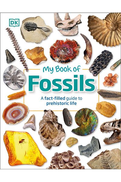 Dorling Kindersley The Book of Fossils