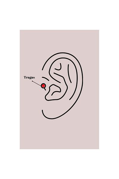 Skygo 316L Steel Gold Color Zircon Stone Eye Tragus Piercing - Tj-Pr1252