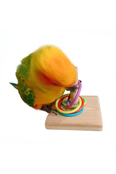 Choice Bird Training Ring Toy Parrot Educational Toys Training Interactive Bird Supplies Bird Toys Rando...