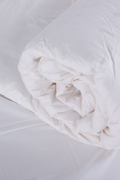 goody goose Goose Feather Platinum Quilt - King Size