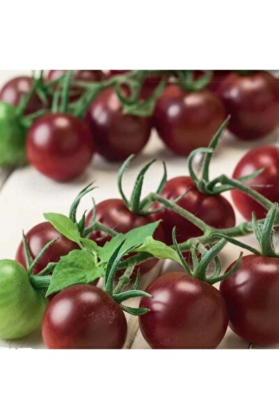 Mutlu Paket Aroması Yüksek Chocolate Cherry Domates Tohumu (15 tohum)