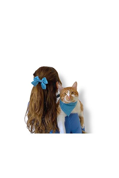 Tüylü Tezgah Cat and Small Breed Dog, Töpke and Scarf Set Stylish Scarf Set