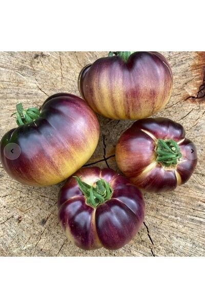 Mutlu Paket Mor Beyaz Great White Purple Domates Tohumu (15 tohum)