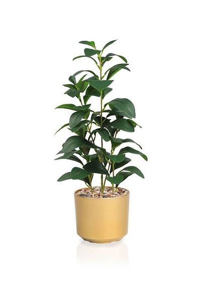 Generic Artificial Lemon Leaf Seedling in Plastic Cylinder Pot