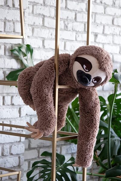 Fancy Sloths Plush Toy 42 Cm