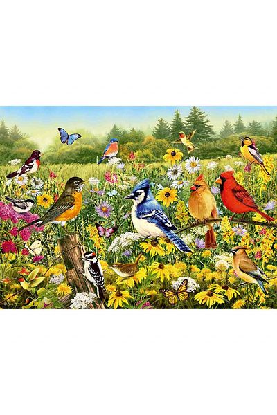 RAVENSBURGER Colorful Birds Puzzle, 500 Pieces
