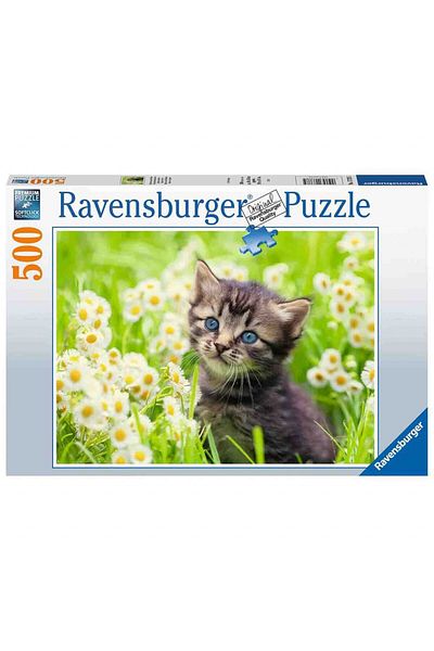 RAVENSBURGER Puzzle Kitten in the Field, 500 Pieces
