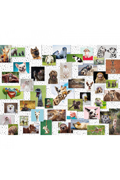 RAVENSBURGER Puzzle Colaj Cu Animale, 1500 Piese