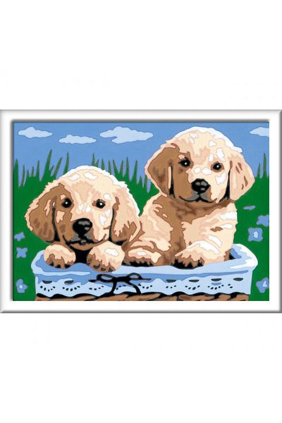 RAVENSBURGER Paint By Numbers - Puppies