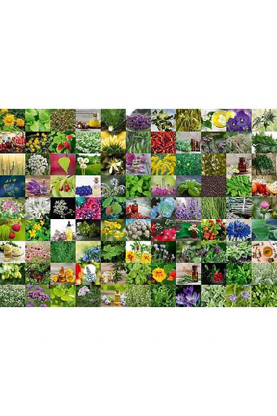 RAVENSBURGER Puzzle 99 Plants And Spices, 1000 Pieces