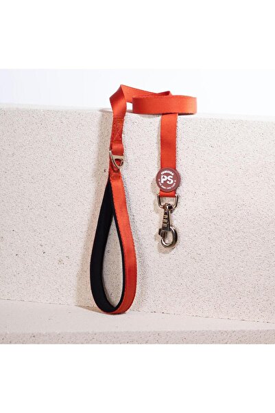 Pawstar Kiremit Leash Kedi Köpek Sevk & Gezdirme Kayışı Köpek Uzatma Tasması-2Cm
