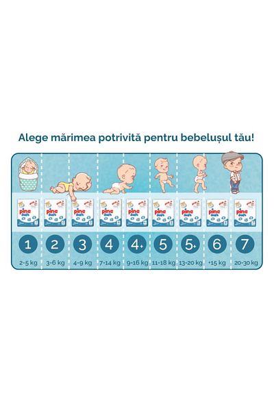 Pine Scutece PINE Soft nr.1, 2-5 kg, 40 buc