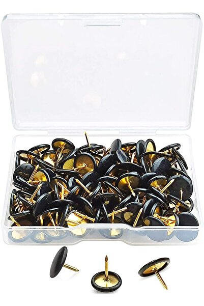 erorex دبابيس دفع ودبابيس تثبيت الإبهام ودبابيس اللوحة للفلين ودبابيس دفع اللوحة للمدرسة وخريطة المكتب وجدار الصور والفلين