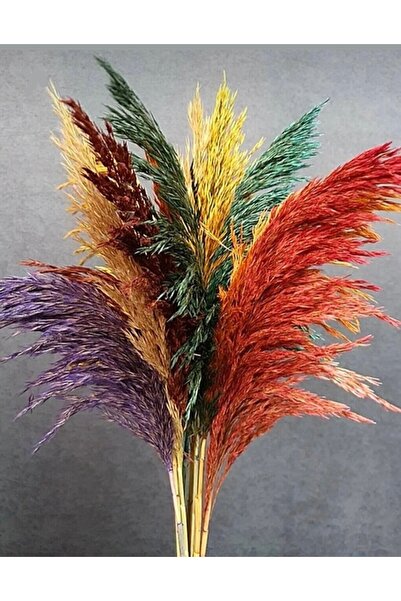 Froyi Dekoratif  Pampas Otu Karışık Renk 15 Adet 100cm