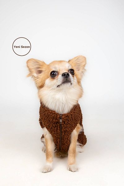 salya store Coffee Color Zippered Teddy Dog Jacket