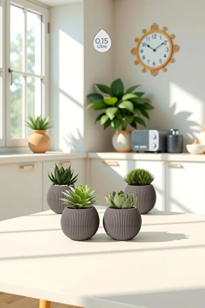 Melkan Home 4 Adet 0,15 Litre Mini Saksı Kaktüs Sukulent Saksısı Minik Plasti...