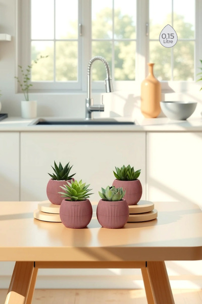 Melkan Home 4 Adet 0,15 Litre Mini Saksı Kaktüs Sukulent Saksısı Minik Plasti...