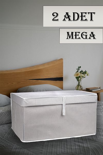 Nanteks 2 Pieces Multi-Purpose Organizer Box with Lid Base Storage 60X40X30 cm