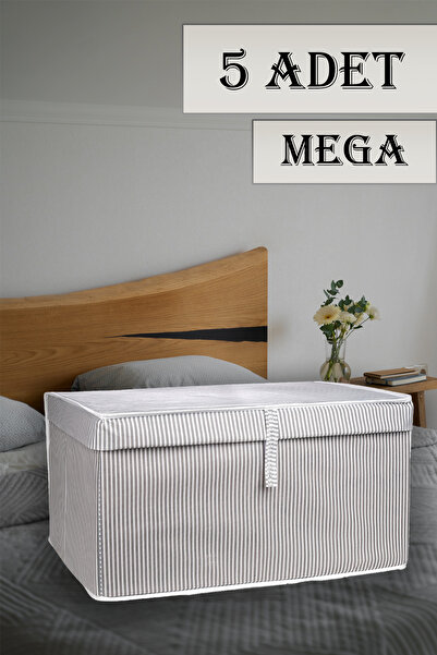 Nanteks 5 Adet Çok Amaçlı Kapaklı Düzenleyici Kutu Hurç 60x40x30 cm