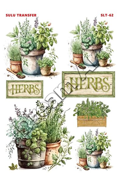 Buhobi كروكوس نقل مائي خفيف SLT062 25x35 سم