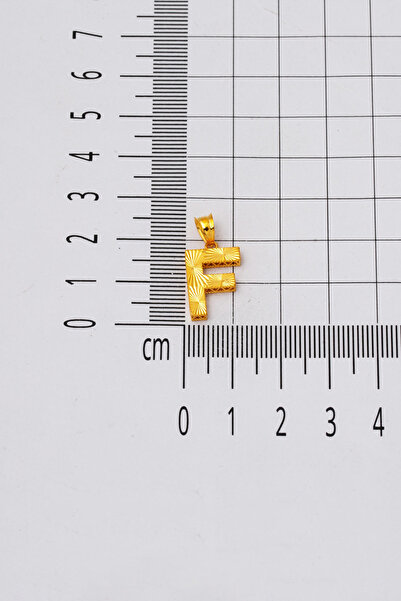 Bilezikci F Harf 22 Ayar Üç Boyutlu Altın Kolye