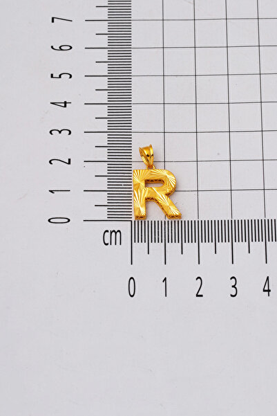 Bilezikci R Baş Harfi Üç Boyutlu 22 Ayar Kolye Ucu