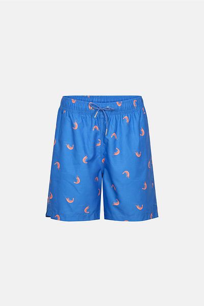 Dagi Multicolor Shrimp Des. Medium Shorts