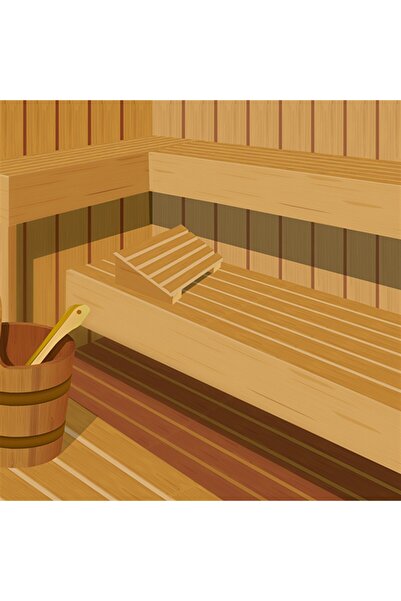 HG Hijyenik Sauna Temizleyici