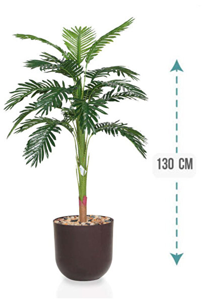 Generic شجرة نخل صغير بمركن بلاستيك أسطواني