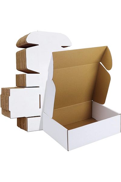 erorex 12X9X4 Inches Shipping Boxes Set Of 20 White Corrugated Cardboard Box Literature Mailer
