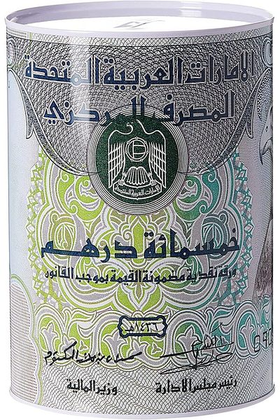 erorex Coin Box Money Bank For Saving Coins And Cash 15 X 22 Cm