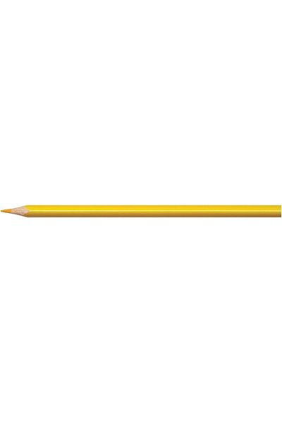 erorex Coloring Pencils Pack Of 12 Multi