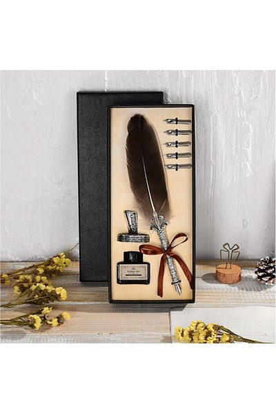 erorex Feather Pen Set: Nice Quill Pen With Metal Pen Handle Cool Calligraphy Pens With Nib Holder Dip Pen