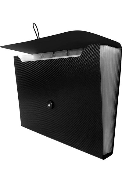 erorex File Organizer Expanding File Folder File Holder With Tabs Elastic Buckles Closure A4 Paper